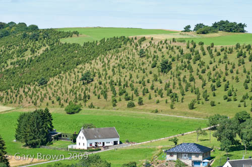 Limestone grassland