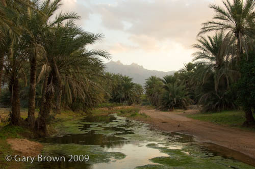 WadiShoq