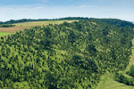 Limestone grassland, Germany