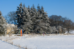 Schoenfeld2