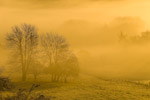 eifel1