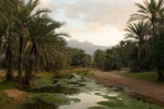socotra1
