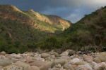 socotra_wadi