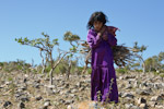 Bedouin girl